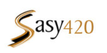 sasy420.com